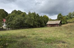 Casă la munte, 15000 mp teren, zona Zlatna - Almasu