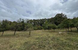 Casă la munte, 15000 mp teren, zona Zlatna - Almasu