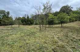 Casă la munte, 15000 mp teren, zona Zlatna - Almasu