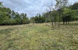 Casă la munte, 15000 mp teren, zona Zlatna - Almasu