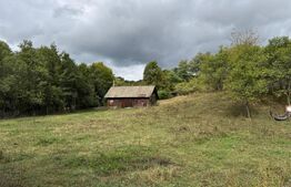Casă la munte, 15000 mp teren, zona Zlatna - Almasu