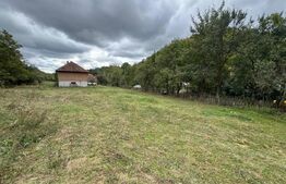 Casă la munte, 15000 mp teren, zona Zlatna - Almasu