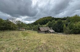 Casă la munte, 15000 mp teren, zona Zlatna - Almasu