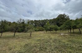 Casă la munte, 15000 mp teren, zona Zlatna - Almasu