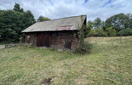 Casă la munte, 15000 mp teren, zona Zlatna - Almasu