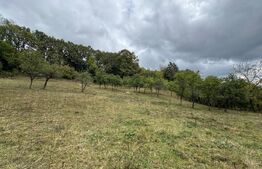 Casă la munte, 15000 mp teren, zona Zlatna - Almasu