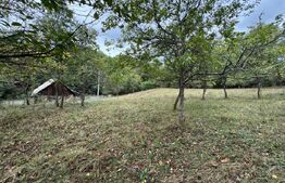 Casă la munte, 15000 mp teren, zona Zlatna - Almasu