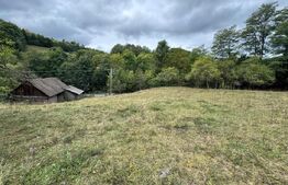 Casă la munte, 15000 mp teren, zona Zlatna - Almasu