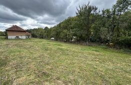 Casă la munte, 15000 mp teren, zona Zlatna - Almasu