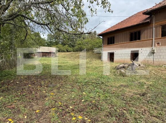 Casa de vânzare 3 camere Zlatna - 161911CV | BLITZ Alba Iulia | Poza3