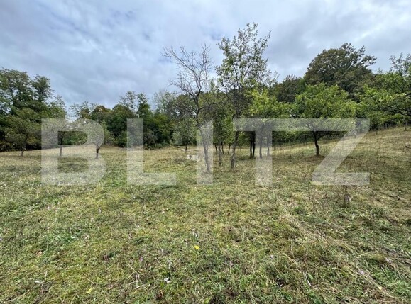 Casa de vânzare 3 camere Zlatna - 161911CV | BLITZ Alba Iulia | Poza11