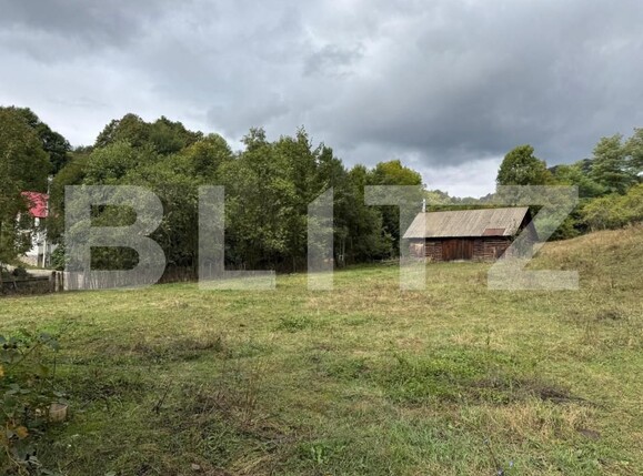 Casa de vânzare 3 camere Zlatna - 161911CV | BLITZ Alba Iulia | Poza7