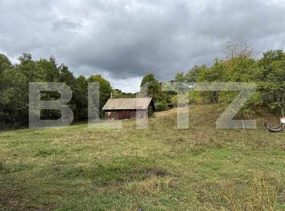 Casa de vânzare 3 camere Zlatna - 161911CV | BLITZ Alba Iulia | Poza5