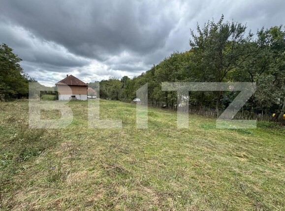 Casa de vânzare 3 camere Zlatna - 161911CV | BLITZ Alba Iulia | Poza18