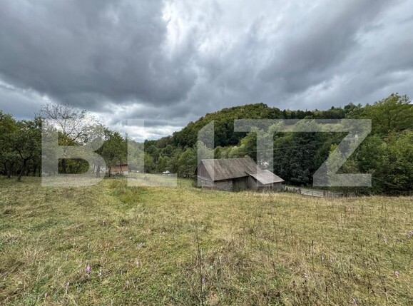 Casa de vânzare 3 camere Zlatna - 161911CV | BLITZ Alba Iulia | Poza16