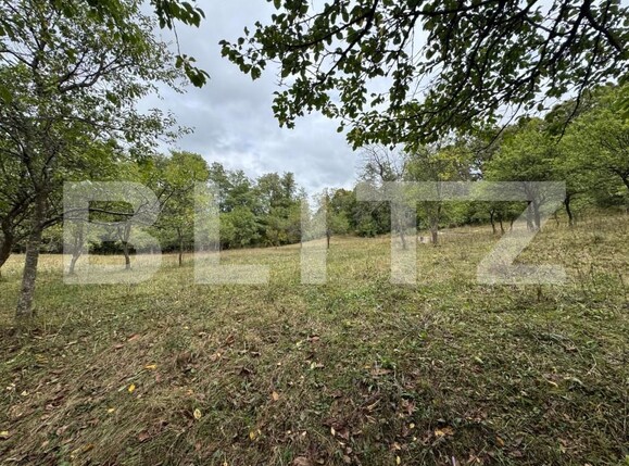 Casa de vânzare 3 camere Zlatna - 161911CV | BLITZ Alba Iulia | Poza8