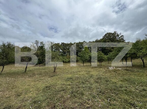 Casa de vânzare 3 camere Zlatna - 161911CV | BLITZ Alba Iulia | Poza14