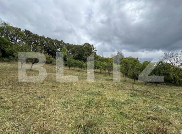 Casa de vânzare 3 camere Zlatna - 161911CV | BLITZ Alba Iulia | Poza15