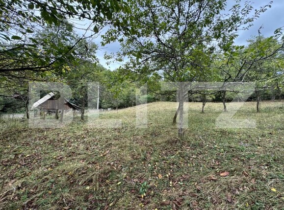 Casa de vânzare 3 camere Zlatna - 161911CV | BLITZ Alba Iulia | Poza9