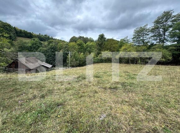 Casa de vânzare 3 camere Zlatna - 161911CV | BLITZ Alba Iulia | Poza12