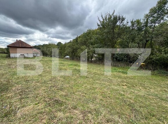 Casa de vânzare 3 camere Zlatna - 161911CV | BLITZ Alba Iulia | Poza19