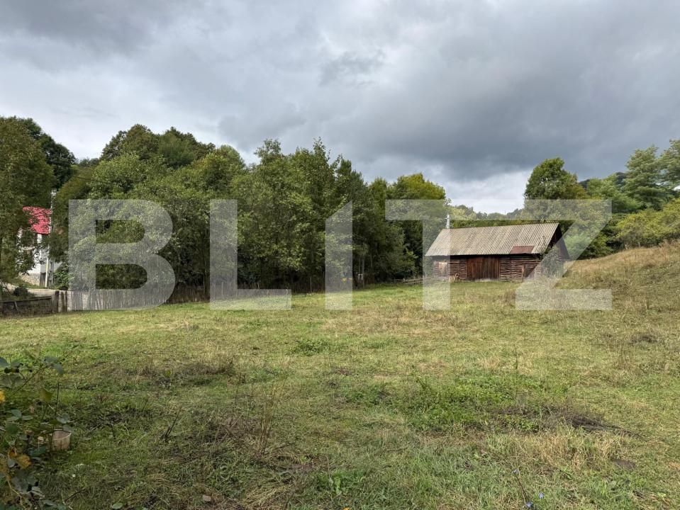 Casa de vânzare 3 camere Zlatna - 161911CV | BLITZ Alba Iulia | Poza6