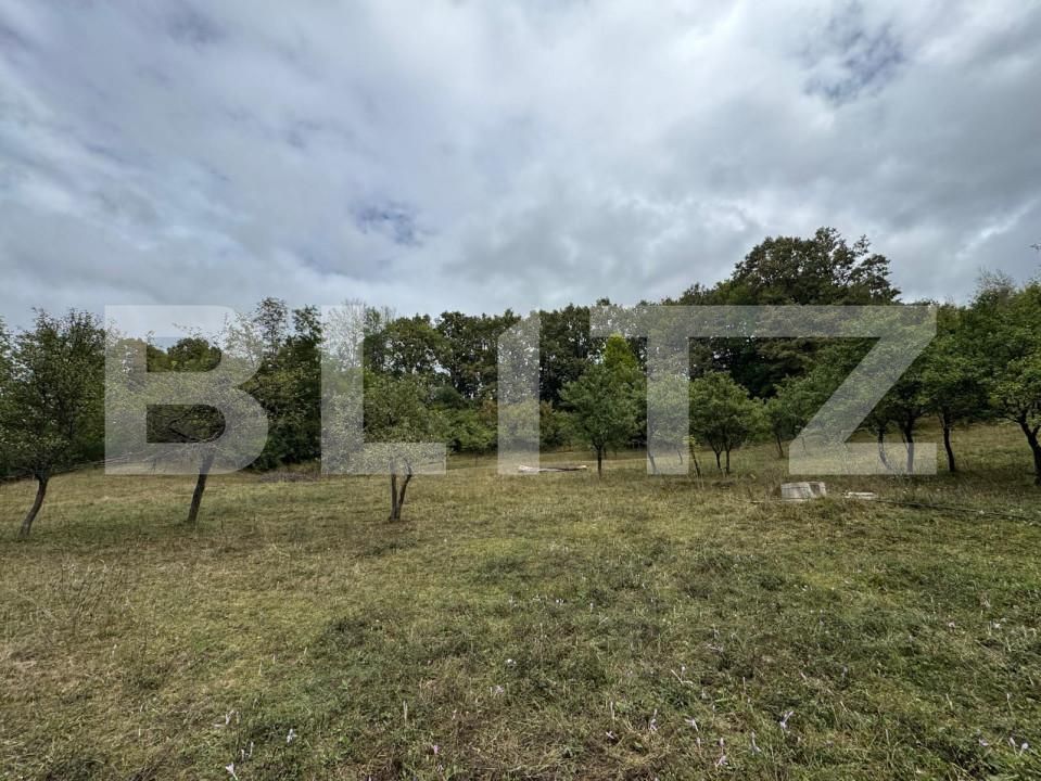 Casa de vânzare 3 camere Zlatna - 161911CV | BLITZ Alba Iulia | Poza13