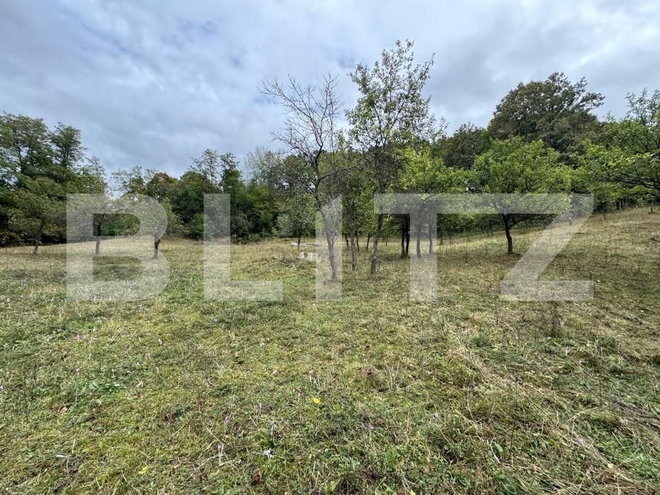 Casa de vânzare 3 camere Zlatna - 161911CV | BLITZ Alba Iulia | Poza11