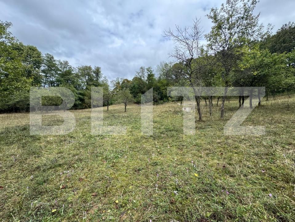 Casa de vânzare 3 camere Zlatna - 161911CV | BLITZ Alba Iulia | Poza10