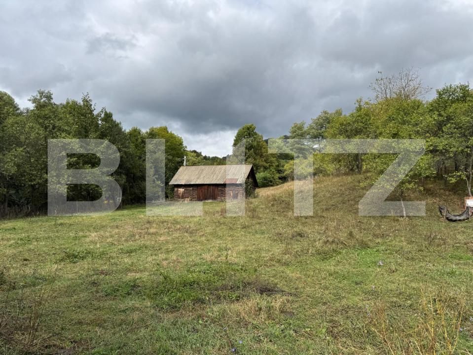 Casa de vânzare 3 camere Zlatna - 161911CV | BLITZ Alba Iulia | Poza5