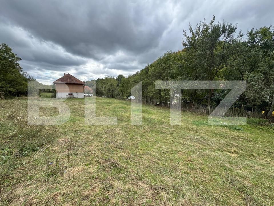 Casa de vânzare 3 camere Zlatna - 161911CV | BLITZ Alba Iulia | Poza18