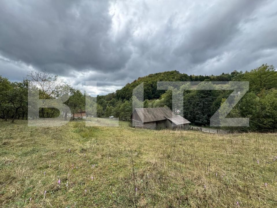 Casa de vânzare 3 camere Zlatna - 161911CV | BLITZ Alba Iulia | Poza16