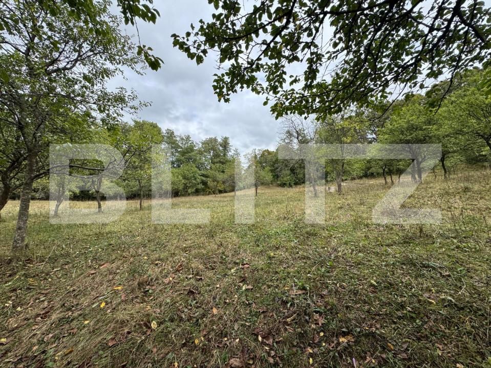 Casa de vânzare 3 camere Zlatna - 161911CV | BLITZ Alba Iulia | Poza8