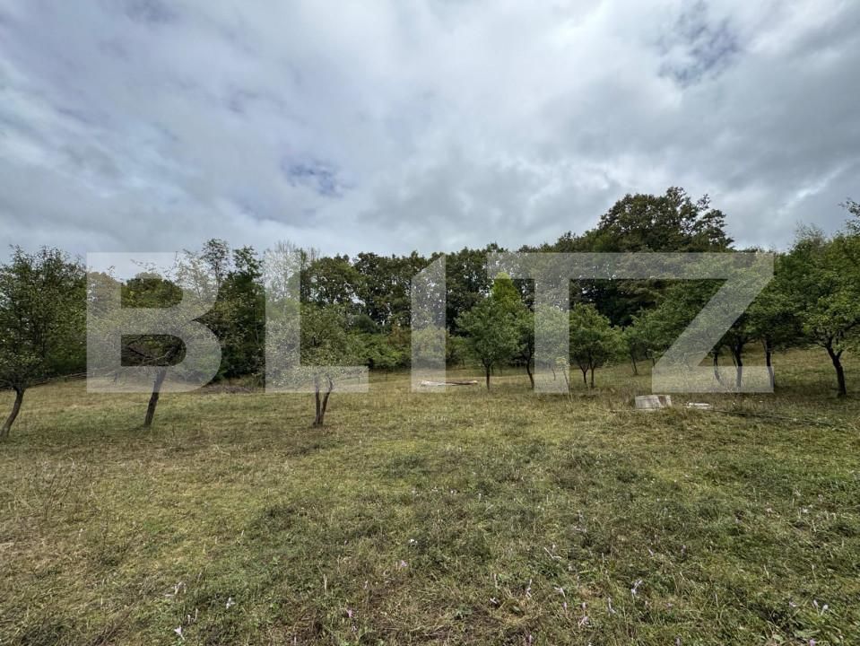 Casa de vânzare 3 camere Zlatna - 161911CV | BLITZ Alba Iulia | Poza14