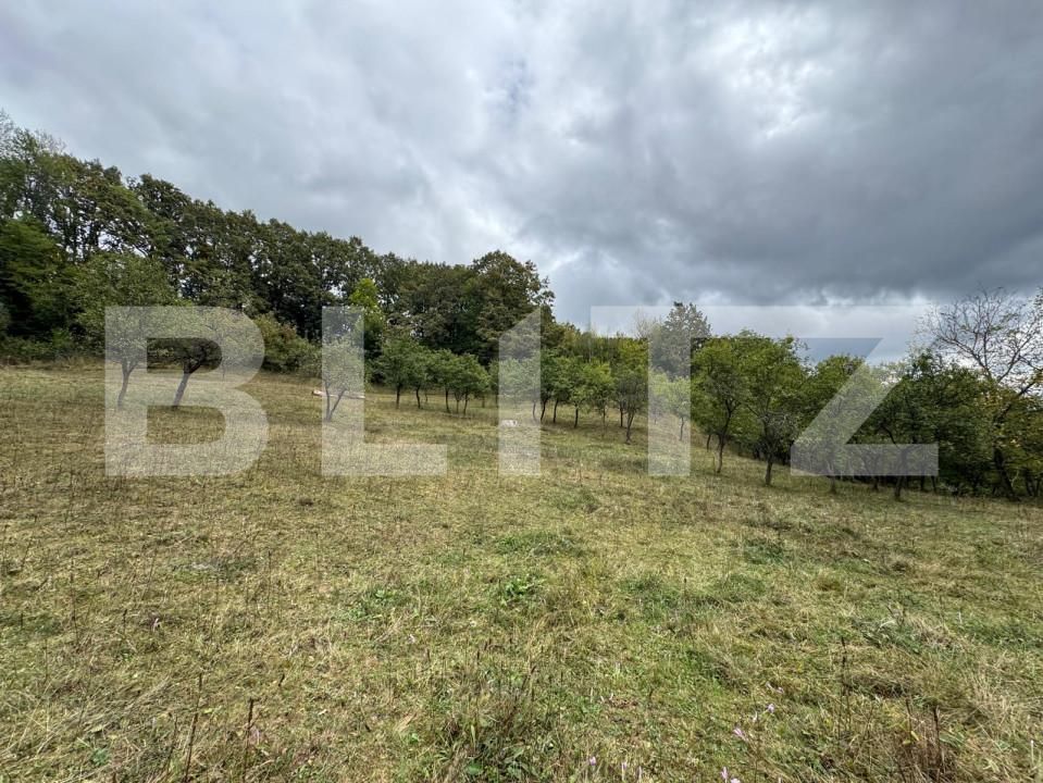 Casa de vânzare 3 camere Zlatna - 161911CV | BLITZ Alba Iulia | Poza15