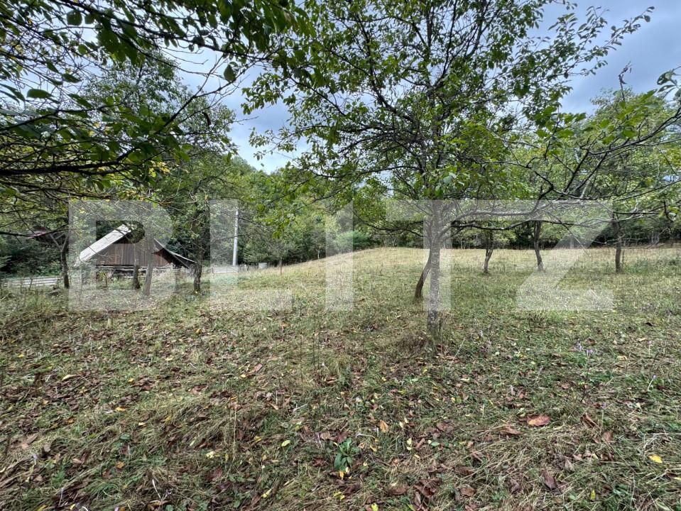 Casa de vânzare 3 camere Zlatna - 161911CV | BLITZ Alba Iulia | Poza9