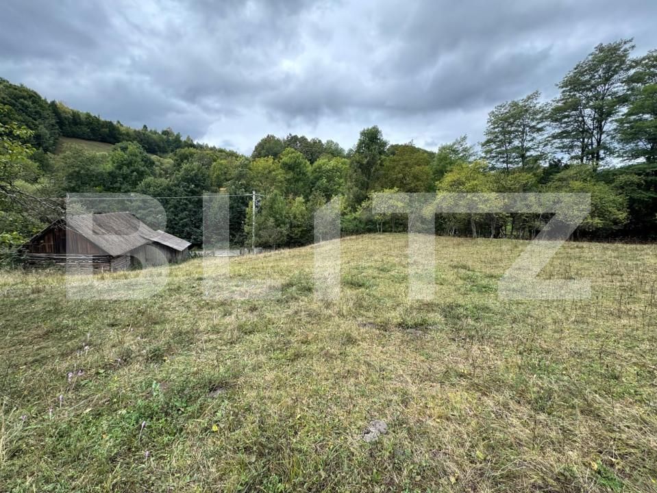 Casa de vânzare 3 camere Zlatna - 161911CV | BLITZ Alba Iulia | Poza12