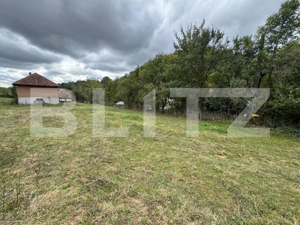 Casa de vânzare 3 camere Zlatna - 161911CV | BLITZ Alba Iulia | Poza19