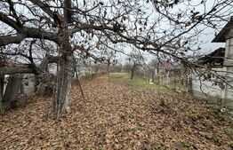 Oportunitate investiție: casă veche + teren 1.096 mp în Barabant, lângă Carolina