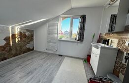Duplex cu 4 camere, 120 mp utili și 250 teren, zona Arex