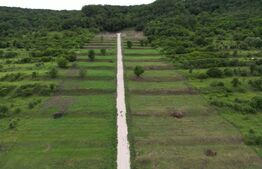 Parcele de 500,700,1000 mp in Aiud , autorizatie de constructie.