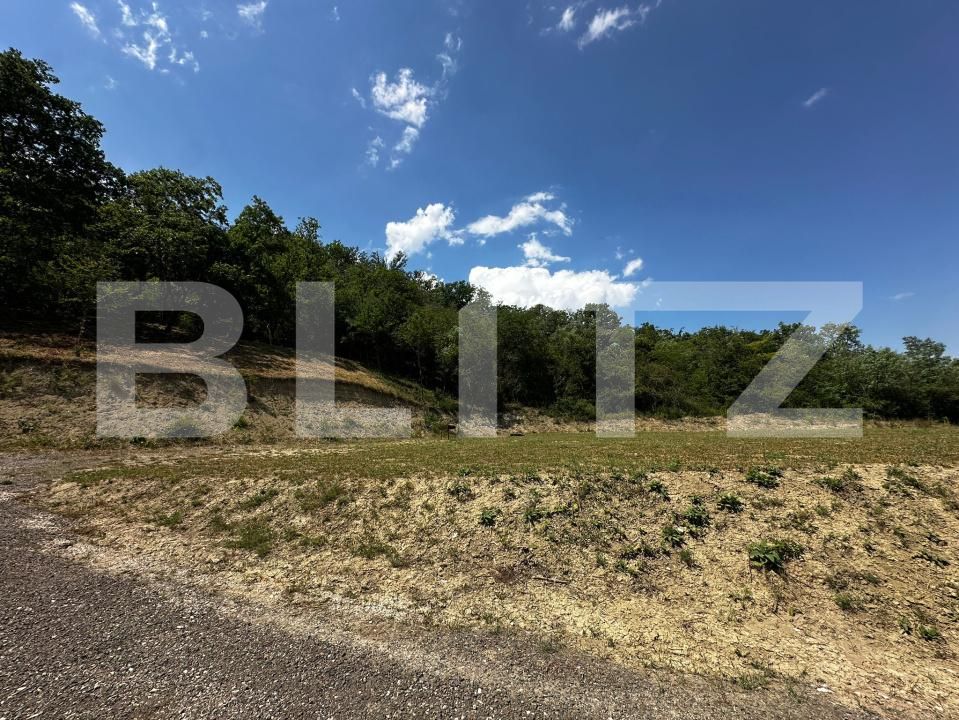 Teren de vânzare Aiud - 162013TV | BLITZ Alba Iulia | Poza2