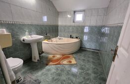 Casa individuala,307 mp ulltili,Sebes