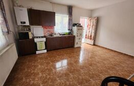 Casa individuala,307 mp ulltili,Sebes