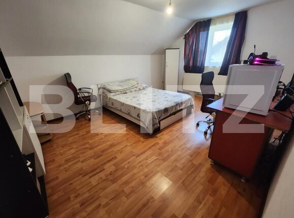 Casa de vânzare 5 camere Sebeș - 162065CV | BLITZ Alba Iulia | Poza11