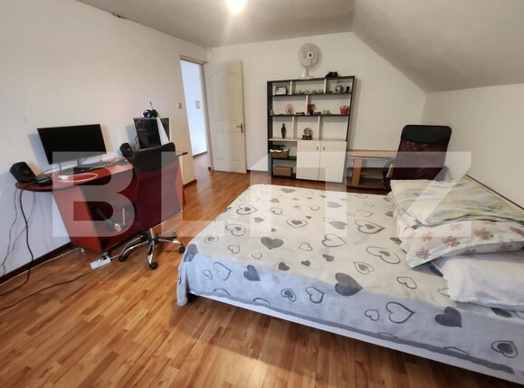 Casa de vânzare 5 camere Sebeș - 162065CV | BLITZ Alba Iulia | Poza8