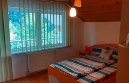 Casă de vacanță în inima naturii – Râmeț, Valea Mănăstirii