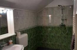 Casa de vacanta  pretabila pentru pensiune autorizata