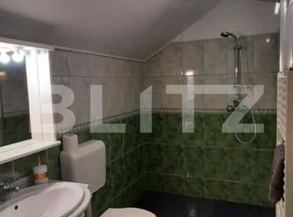 Casa de vânzare 6 camere Valea Manastirii - 162136CV | BLITZ Alba Iulia | Poza14
