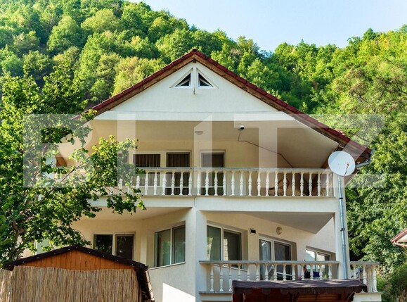 Casa de vânzare 6 camere Valea Manastirii - 162136CV | BLITZ Alba Iulia | Poza19